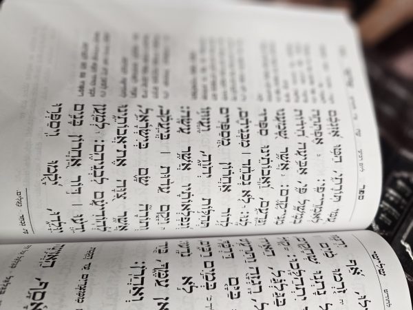 ⁦תהילים המבואר עם פירוש ר' גדליה סגל זצ"ל⁩ – תמונה ⁦2⁩