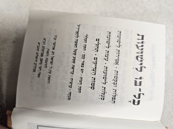 ⁦כל בו לישועות⁩ – תמונה ⁦2⁩