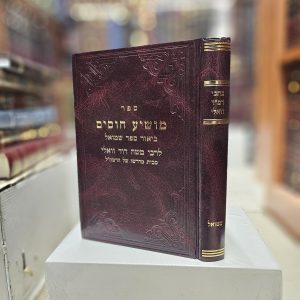 כתבי רמ"ד וואלי ביאור ספר שמואל