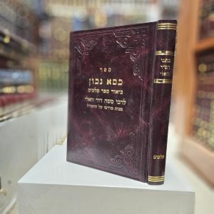 כתבי רמ"ד וואלי ביאור ספר מלכים