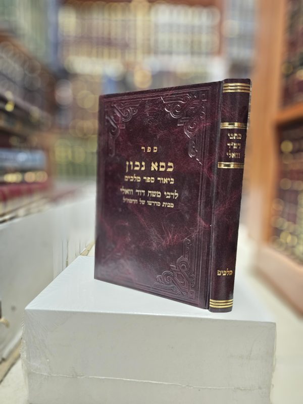 כתבי רמ"ד וואלי ביאור ספר מלכים