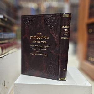 כתבי רמ"ד וואלי ביאור ספר איוב