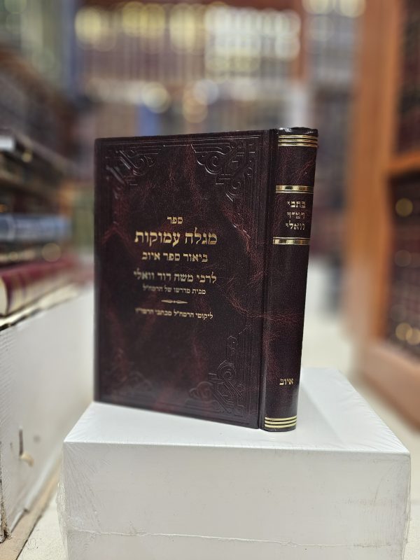 כתבי רמ"ד וואלי ביאור ספר איוב