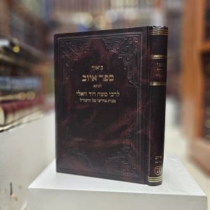 כתבי רמ"ד וואלי ביאור ספר איוב תניינא