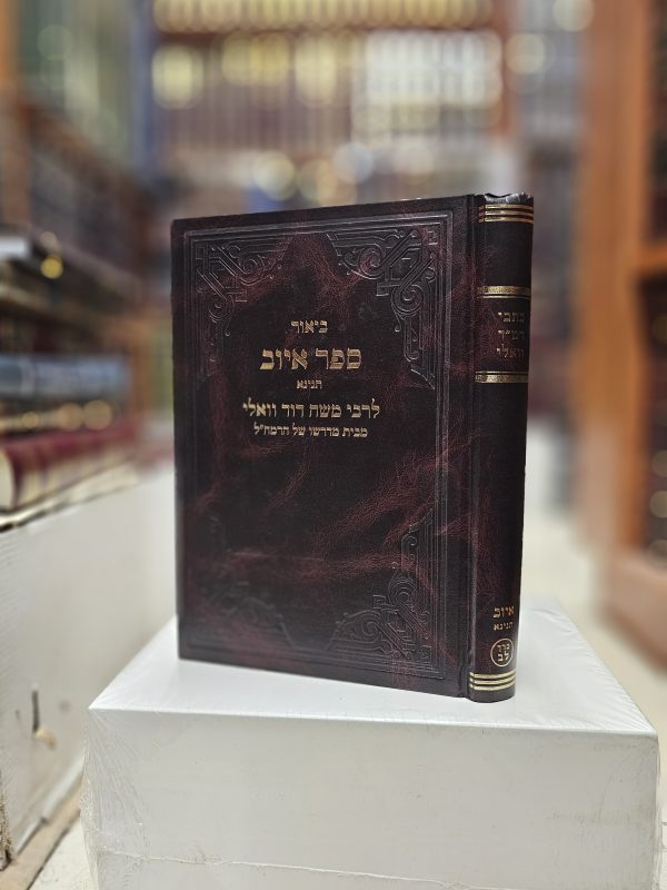 כתבי רמ"ד וואלי ביאור ספר איוב תניינא