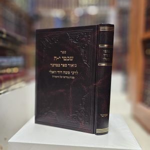 כתבי רמ"ד וואלי ביאור ספר במדבר