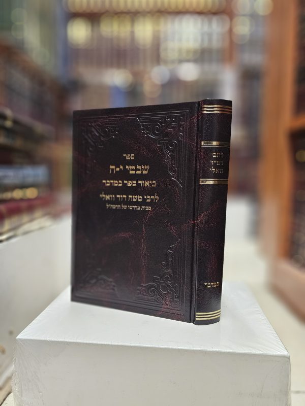 כתבי רמ"ד וואלי ביאור ספר במדבר