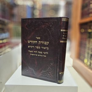 כתבי רמ"ד וואלי ביאור ספר ויקרא