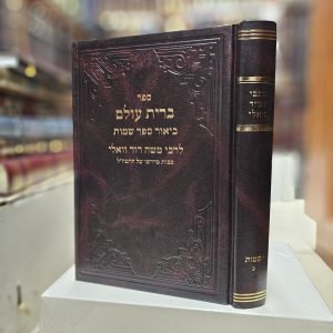 כתבי רמ"ד וואלי ביאור ספר שמות