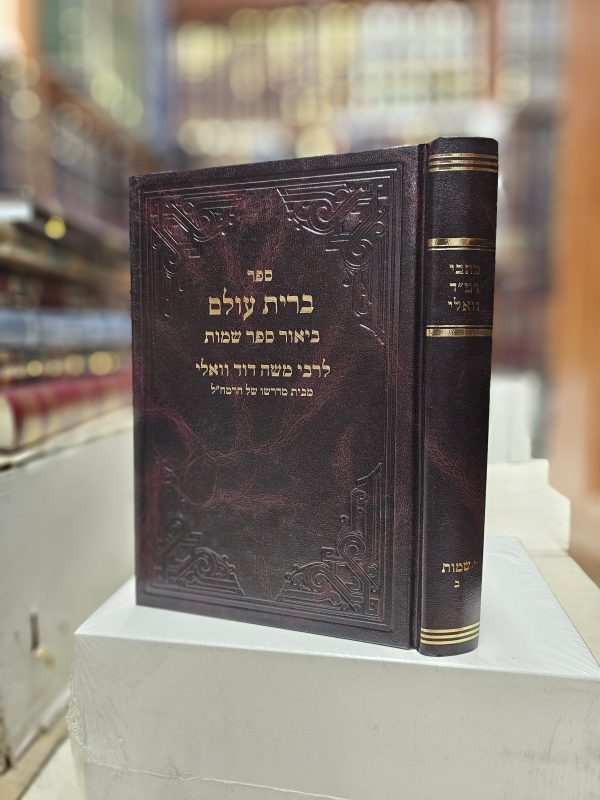 כתבי רמ"ד וואלי ביאור ספר שמות