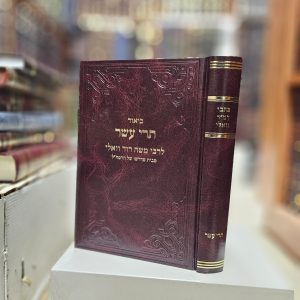 כתבי רמ"ד וואלי ביאור ספר תרי עשר