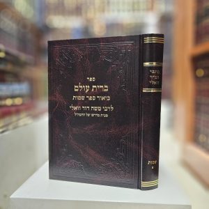 כתבי רמ"ד וואלי ביאור ספר שמות א