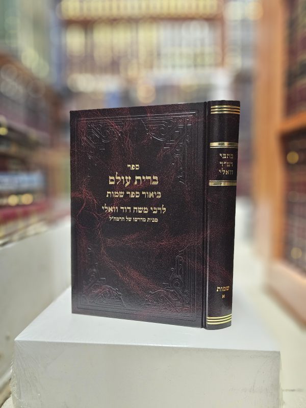 כתבי רמ"ד וואלי ביאור ספר שמות א