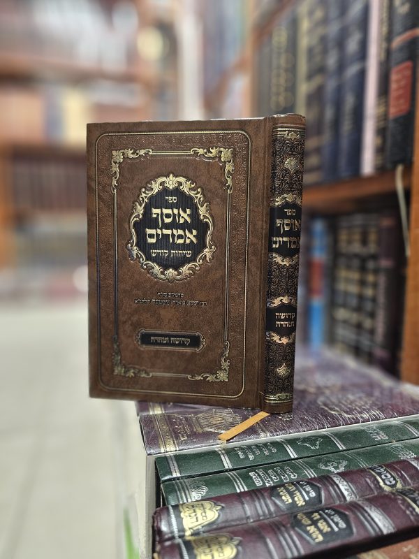 אוסף אמרים  - קדושה וטהרה - מהגה"צ רבי יעקב מאיר שכטר שליט"א